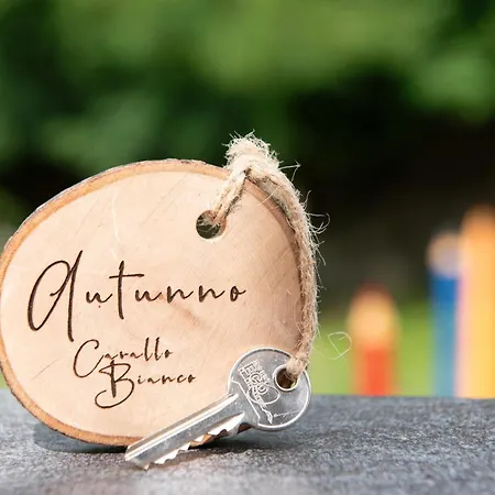 Nuovo Cavallo Bianco Gasthof 3*